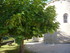 L COMME LAVERGNE - LOT - FRANC