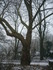 L COMME LILLE (2) - NORD - FRA