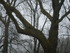 L COMME LILLE (2) - NORD - FRA