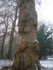 L COMME LILLE (2) - NORD - FRA