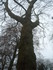 L COMME LILLE (2) - NORD - FRA