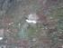 L COMME LILLE (3) - NORD - FRA