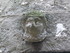 V COMME VENCE (7) - ALPES MARI