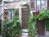 V COMME VENCE (8) - ALPES MARI