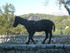 S COMME SAINT PAUL DE VENCE (5