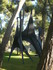 F COMME FONDATION MAEGHT - ALP
