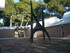 F COMME FONDATION MAEGHT - ALP