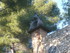 F COMME FONDATION MAEGHT - ALP