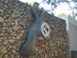 F COMME FONDATION MAEGHT (2) -
