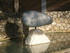 F COMME FONDATION MAEGHT (2) -