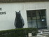 F COMME FONDATION MAEGHT (2) -