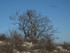 T COMME TOURRETTES SUR LOUP (4