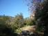T COMME TOURRETTES SUR LOUP (5