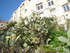 T COMME TOURRETTES SUR LOUP (5