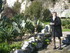 T COMME TOURRETTES SUR LOUP (5