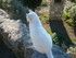 T COMME TOURRETTES SUR LOUP (5