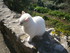 T COMME TOURRETTES SUR LOUP (5