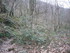 L COMME LE LOT - AVEYRON - FRA
