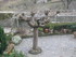 C COMME CONQUES (4) - AVEYRON 