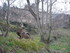 C COMME CONQUES (5) - AVEYRON 