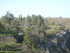 R COMME ROCAMADOUR (13) - LOT 