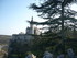 R COMME ROCAMADOUR (13) - LOT 