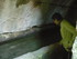 R COMME ROCAMADOUR (14) - LOT 