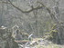 R COMME ROCAMADOUR (15) - LOT 