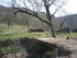 R COMME ROCAMADOUR (15) - LOT 