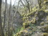 R COMME ROCAMADOUR (15) - LOT 