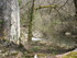 R COMME ROCAMADOUR (15) - LOT 