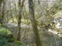 R COMME ROCAMADOUR (15) - LOT 