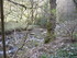 R COMME ROCAMADOUR (15) - LOT 