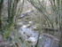 R COMME ROCAMADOUR (16) - LOT 