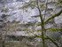 R COMME ROCAMADOUR (16) - LOT 
