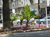 C COMME CANNES - ALPES MARITIM