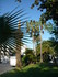 C COMME CANNES (6) - ALPES MAR