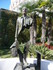 C COMME CANNES (6) - ALPES MAR