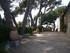 C COMME CANNES (7) - ALPES MAR