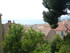 C COMME CANNES (7) - ALPES MAR