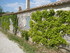 A COMME ABBAYE DE SILVACANE - 