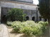 A COMME ABBAYE DE SILVACANE (3