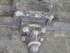 A COMME ABBAYE DE SILVACANE (3