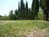 A COMME ABBAYE DE SILVACANE (4