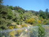 P COMME PARC AUX LOUPS DE SAIN