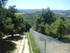 P COMME PARC AUX LOUPS DE SAIN