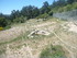 P COMME PARC AUX LOUPS DE SAIN