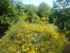 P COMME PARC AUX LOUPS DE SAIN