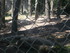 P COMME PARC AUX LOUPS DE SAIN