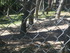 P COMME PARC AUX LOUPS DE SAIN